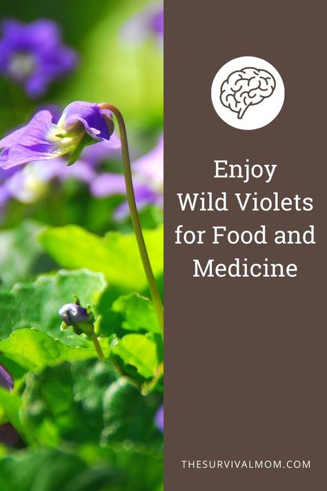 Wild Violets, Wild Food Foraging, Foraged Food, Secret Power, Peaceful Home, Edible Landscaping, Herbal Magic, Wild Edibles, Worry Less