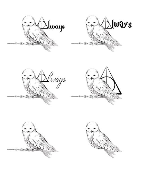 A tattoo design for a friend, based on Hedwig from Harry Potter                                                                                                                                                                                 More Harry Potter Temporary Tattoos, Hedwig Tattoo Design, Owl Tattoo Harry Potter, Faux Phoenix Harry Potter Tattoo, Harry Potter Stag Tattoo, Harry Potter Tattoos Hedwig, Harry Potter Hedwig Tattoo, Hedwig Tattoo Harry Potter, Fawkes Tattoo Harry Potter