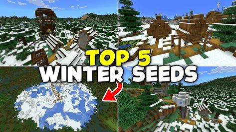 Seeds For Minecraft, Minecraft 1, Cold Season, Java, To Grow, Minecraft, Seeds