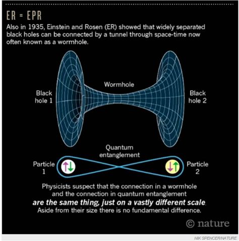 Einstein Rosen Bridge, Physics Theories, Physics Facts, Astronomy Facts, Quantum Entanglement, Astronomy Science, Theoretical Physics, Cool Science Facts, Space Facts