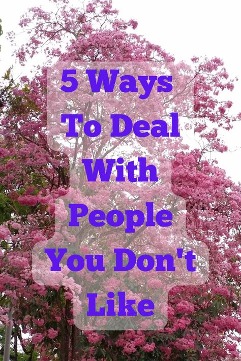 5 Ways To Deal With People You Don't Like How To Like Someone You Don't Like, Dealing With People You Cant Stand, When You Don’t Like Someone, How To Work With People You Dont Like, How To Deal With People You Don’t Like, How To Deal With Arrogant People, People Can Be So Mean, How To Deal With People Not Liking You, How To Politely Tell Someone Off