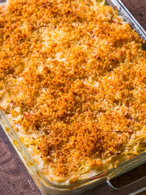 Chicken Cordon Bleu Tetrazzini – Live Play Eat Chicken Cordon Bleu Tetrazzini 12 Tomatoes, Chicken Cordon Blue Tetrazinni 12 Tomatoes, Chicken Cordon Bleu Tetrazzini, 12 Tomatoes Recipes Chicken, Chicken Cordon Blue Tetrazinni, 12 Tomatoes, Chicken Cordon Bleu Casserole, Chicken Tetrazzini, Comfort Casseroles