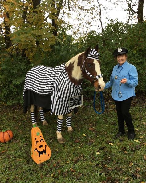 Prisoner Costume, Horse Costumes, Horse And Rider, My Horse, Black And White Stripes, Horse Love, One Inch, Horse Rider, Costume Ideas