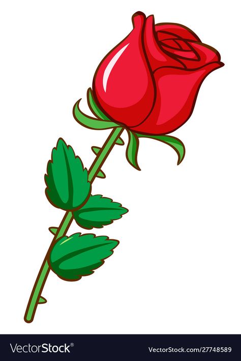 Red Flower Drawing, Red Rose Tattoo Design, Background Red Rose, Rose Pencil Drawing, Red Rose Drawing, Rose Vector Illustration, Rose Digital Art, Rose Cartoon, Red Rose Png