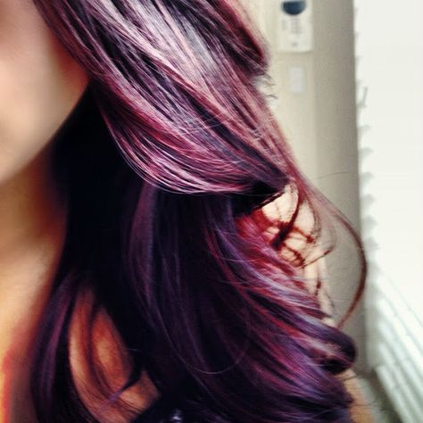 DSK Steph!: DIY Hair Color! Burgundy Plum Plum Burgundy Hair, Hair Color Plum, Plum Hair, Diy Hair Color, Hair Color Burgundy, Burgundy Hair, Ombre Hair Color, Pink Lady, Love Hair