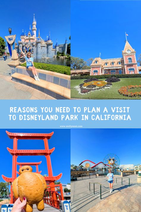 Have you visited Walt Disney World in Orlando, FL and love Disney but want to visit somewhere different? You need to consider a visit to Disneyland in California!  I’m here to break down my top reasons that you should consider visiting Disneyland in California for your next Disney vacation! Disneyland Park California, Disneyland In California, I Love Disney, Disney California Adventure Park, Love Disney, Disneyland California, Disneyland Park, Disney Vacation, Disneyland Resort