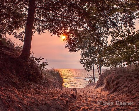 Lake Michigan Aesthetic, 2023 Plans, Michigan Travel Destinations, Lake Animals, Michigan Cottage, Saugatuck Michigan, Michigan Road Trip, Michigan Summer, Photoshoot Aesthetic