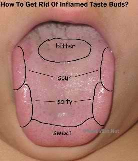 Inflamed Taste Buds, Sensory Organs, Senses Preschool, My Five Senses, Sense Of Taste, Human Body Unit, Culinary Classes, Family And Consumer Science, 5 Senses