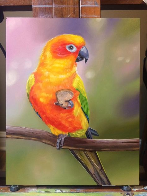 Sunny Conure Drawing Sun Conure Painting, Conure Painting, Conure Drawing, Sun Conures, Parrot Art, Pastel Paint, Parrot Painting, Sun Conure, Parrots Art