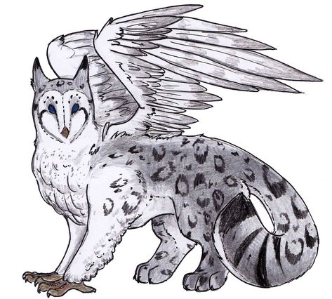 barn owl snow leopard griffin Owl Cat Hybrid, Snow Owl Drawing, Owl Griffin, Idea To Draw, Drawings To Trace, Avatar Oc, Owl Cat, Monster Coloring Pages, Snow Owl