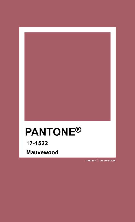 pantone mauvewood, pantone color, pantone color names, pantone , color names, mauvewood , mauve color Mouve Colour Pallet, Pink Color Names, Pantone Pink Shades, Mauve Pantone, Wedding Colour Combinations, Dark Academia Color Palette, Pantone Color Palette, Wedding Colour Theme, Pink Pantone