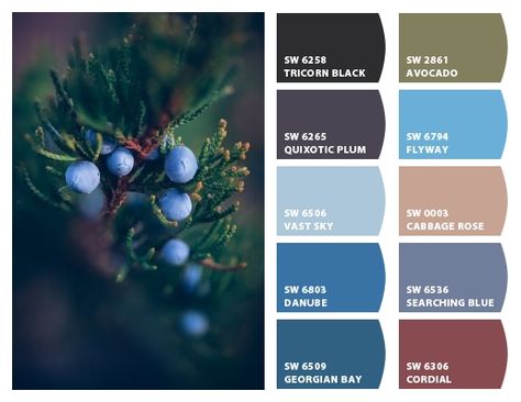 Chip It! by Sherwin-Williams – ChipCard by Rhenda P. Juniper Berries Paint Color, Juniper Color Palette, Juniper Painting, Plants Journal, Forever Green, Plant Journal, Winter Color Palette, Juniper Berries, Sherwin Williams Paint Colors