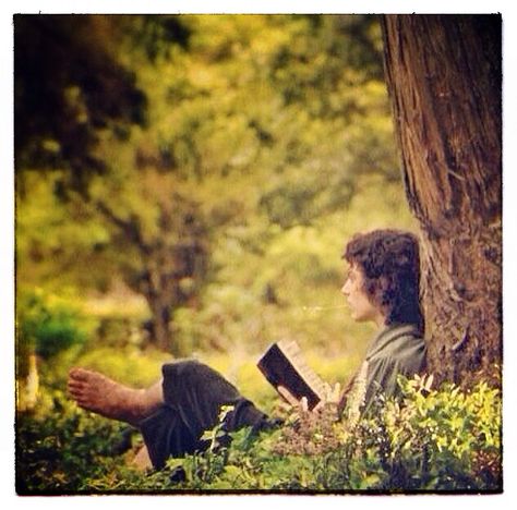 My perfect place.   Frodo sitting under the tree waiting for Gandalf. From Fellowship of the Ring (Lord of the Rings) Transition Goals, Concerning Hobbits, John Howe, The Fellowship Of The Ring, Baba Jaga, Beau Film, Frodo Baggins, Elijah Wood, Into The West