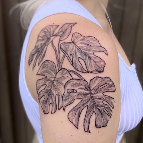 Monstera Plant Tattoo Shoulder, Monstra Tattoo, Monstera Shoulder Tattoo, Monstera Leaves Tattoo, Monstera Tattoos Leaves, Monstera Tattoo Sleeve, Monstera Deliciosa Tattoo, Monstera Plant Tattoo, Monstera Leaf Tattoo