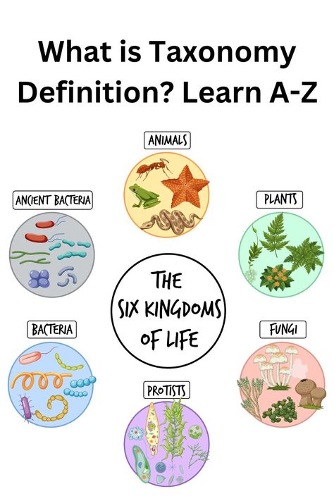 Taxonomy, classification,