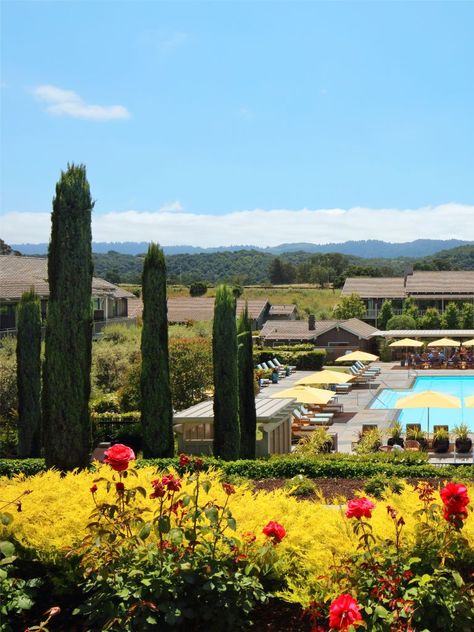 Rosewood Sand Hill Spa in Menlo Park | Palo Alto Wellness Rosewood Sand Hill, Santa Cruz Mountains, Showing Gratitude, Fragrant Garden, Rose Stone, Menlo Park, Pamper Yourself, Buckets, Northern California