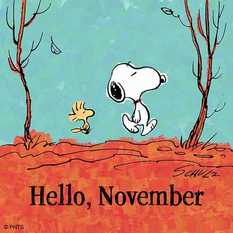 Hello November Snoopy, Hallo November, Snoopy Und Woodstock, Welcome November, November Wallpaper, Happy November, Snoopy Funny, Thanksgiving Wallpaper, Hello November