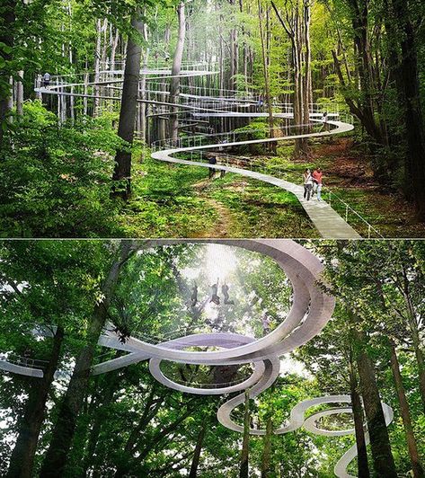 Landscape Architecture Design, Parking Design, Forest Park, Land Art, Walkway, In The Woods, Land Scape, Landscape Architecture, Bird Bath