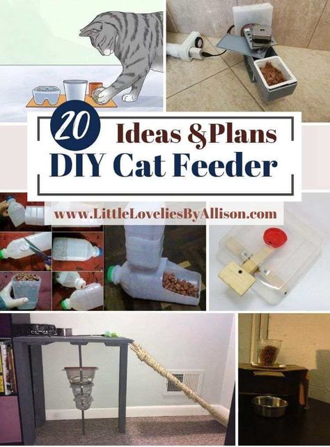 DIY Cat Feeder Plans Cat Feeding Station Dog Proof, Cat Feeder Diy, Cat Puzzle Feeder, Dispenser Ideas, Diy Cat Treats, Cat Food Station, Cat Food Dispenser, Diy Cat Food, Cat Feeding Station