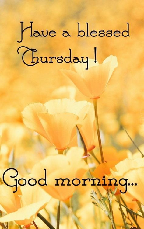 Quotes For Thursday, Gm Thursday, Happy Thursday Pictures, Thursday Morning Quotes, Rolling Loud Miami, Happy Thursday Morning, Thursday Pictures, Happy Thursday Images, Thursday Images