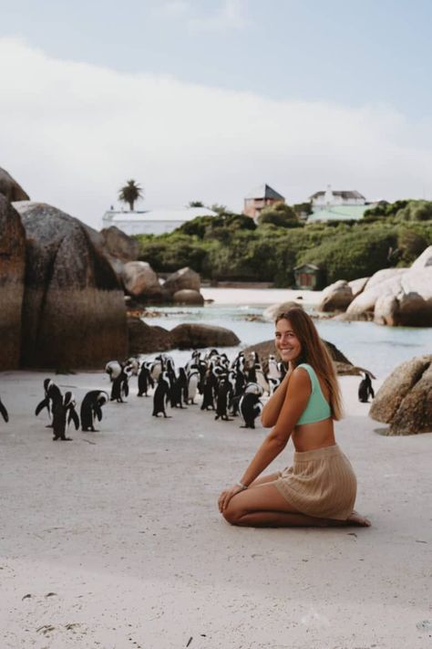 Cape Town Photoshoot, Cape Town Instagram Pictures, Cape Town Outfits, Africa Photoshoot, Cape Town Aesthetic, South Africa Vacation, Africa Photos, Boulders Beach, Town Aesthetic