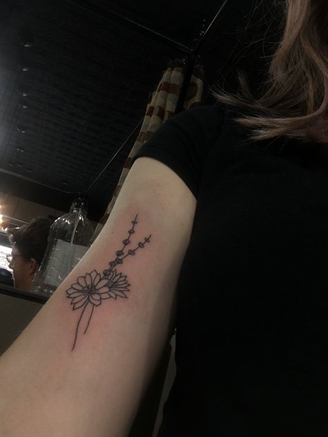 Bitterroot and lavender flower Bitterroot Tattoo, Bitterroot Flower Tattoo, Montana Tattoo Ideas, Kentucky State Flower, Bitterroot Flower, Lil Tattoos, Montana Tattoo, State Tattoos, Flower Tat