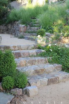 Garden Steps On A Slope, Slope Steps, Steps On A Slope, Stone Steps, Garden Stairs, Stone Stairs, Garden Stepping Stones, Sloped Garden, Stone Walkway