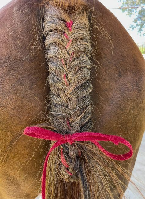 It's easiest to start with narrow ribbons when learning how to braid a ribbon into a horse's tail Horse Tail Braiding, Horse Mane Braids With Ribbon, Horse Mane Braids, Tail Braids, Horse Competition, Horse Braiding, Horse Arena, Horse Tail, Horse Mane