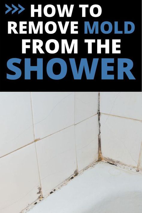 Cleaning Shower Mold, Get Rid Of Black Mold, Remove Mold From Shower, Clean Shower Grout, Pink Mold, Clean Black Mold, Bathroom Caulk, How To Remove Mold, Shower Mold