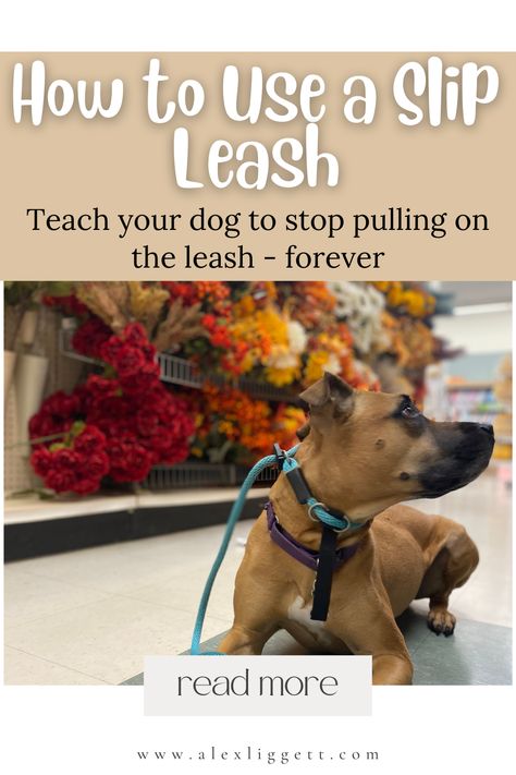 how to use a slip leash | how to use a slip lead | how to use a slip leash diy | how to use a slip leash dog | how to use a slip leash to stop pulling | dog training slip leash Diy Slip Lead Dog Leash, Slip Leads For Dogs, Dog Walking Business Names, Fostering Dogs, Dog Essentials Products, Dog Walking Business Cards, Dog Crate Training, Potty Training Schedule, Slip Leash