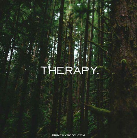 We all need some therapy. Especially the kind that comes from the trees! Jungle Quotes Wild, Jungle Quotes, Being Quotes, Environmental Quotes, College Course, Nature Quotes Adventure, Peace And Balance, Forest Bathing, Hiking Quotes