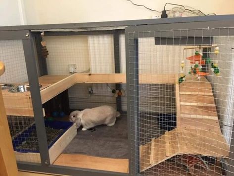 Rabbit Enclosure Indoor, Diy Bunny Cage, Indoor Rabbit House, Diy Rabbit Cage, Indoor Rabbit Cage, Rabbit Playpen, Rabbit Hutch Indoor, Diy Rabbit Hutch, Rabbit Pen