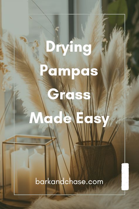 Want to spruce up your home décor with the beautiful allure of pampas grass? This friendly guide walks you through the best methods to dry pampas grass and keep that stunning feathery look! Discover tips on harvesting, air drying, and how to keep pampas grass fresh longer for centerpiece arrangements or stylish decoration. Whether you're a DIY lover or just want to enjoy foliage in your space, our easy steps will help you create the perfect ambiance that wow your guests. Let’s explore the beauty of dried blooms together! Dry Pampas, Centerpiece Arrangements, Space Saving Hacks, Pampas Grass Bouquet, Garden Shears, Spruce Up Your Home, Elements Of Nature, Trendy Home Decor, Online Interior Design