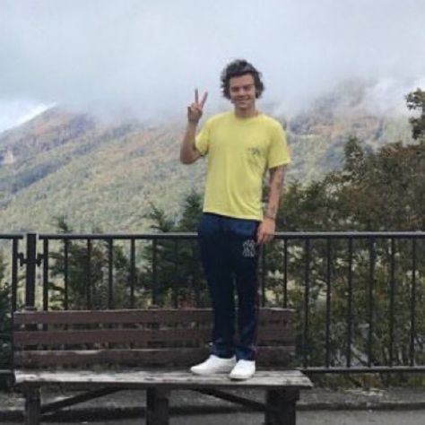 Harry Styles Bf Material, Harry Styles Boyfriend Material, Harold Styles, Harry Styles Cute, One Direction Harry, Harry Styles Pictures, Harry Styles Photos, One Direction Pictures, Mr Style