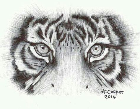 Tiger Eyes 2014 Tiger Eye Tattoo Design, Tigers Eye Tattoo, Tiger Eyes Tattoo Stencil, Tiger Eyes Tattoo Design, Eyes Tattoo Stencil, Tato Mata, Tiger Eyes Tattoo, Animal Tattoos For Women, Tier Tattoo