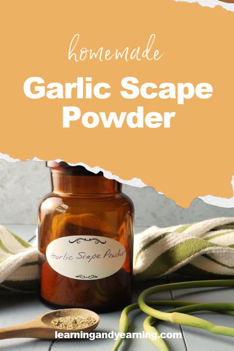 Garlic scape powder is one of many ways that garlic scapes can be used, and making it is a much easier process than making garlic powder. #garlic #garlicscapes #garlicpowder #garlicscapepowder #recipe #homemade #natural #naturalliving #homesteading Homemade Garlic Powder, Diy Garlic Powder, Garlic Powder Recipe, Garlic Scape Salt Recipe, Garlic Powder From Skins, Preserving Garlic Scapes, Garlic Scapes, Food Medicine, Powder Recipe