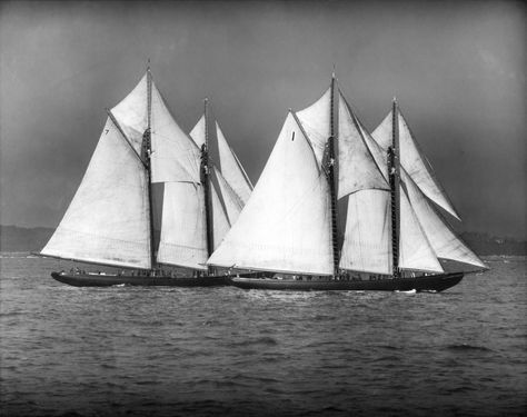 Bluenose Schooner, The Number 7, Boat Drawing, Old Sailing Ships, Sailing Vessel, Henry Ford, Number 7, Gloucester, Sailing Yacht