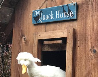 Quack Shack Sign, Duck House Signs, Ducks House, Duck Signs, Quack Shack, Duck Enclosure, Coop Decor, Chicken Coop Decor, Duck Coop