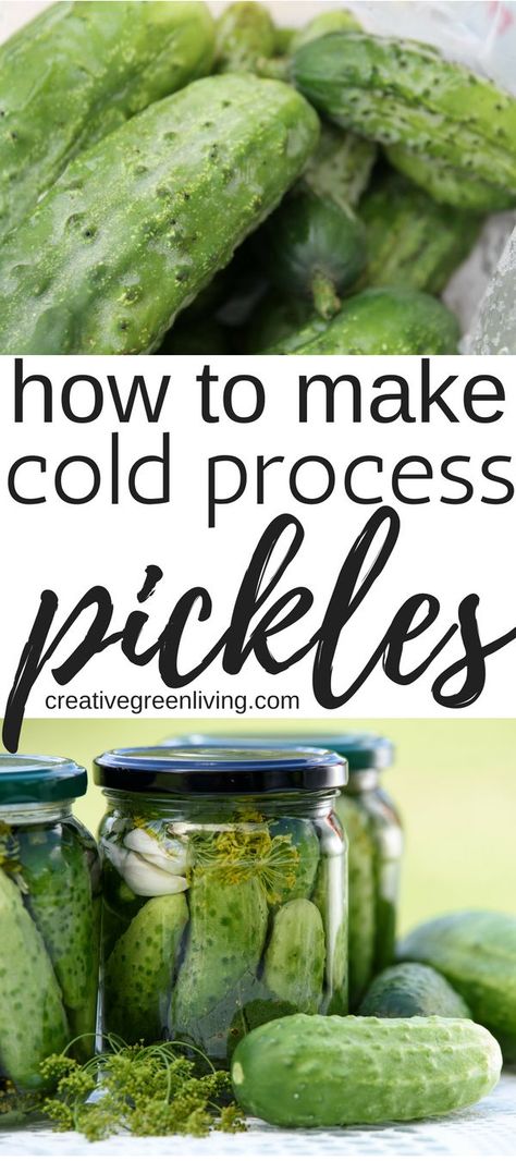 How To Turn Cucumbers Into Pickles, Whole Pickle Recipes, Cold Pickled Cucumber, Cold Pickling Recipes, Cold Brine Dill Pickles, Easy Pickles Canning, Cold Pack Pickles, Mini Cucumber Pickles, Refridge Pickles Dill