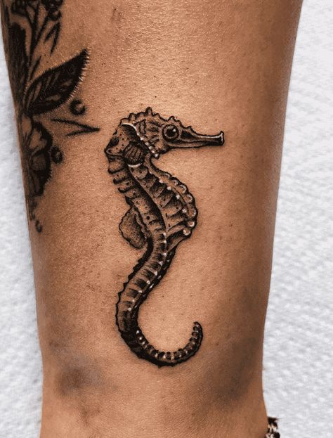 Seahorse Tattoo Ideas, Seahorse Tatoos, Tattoo Seahorse, Seahorse Tattoos, Seahorse Tattoos For Women, Simple Seahorse Tattoo, Small Seahorse Tattoo, Seahorse Tattoo Design, Seahorse Sleeve Tattoo