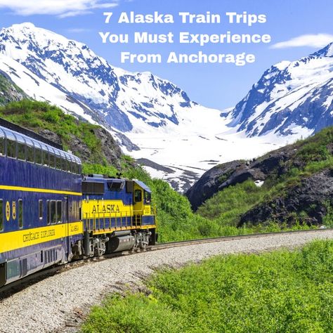 Anchorage makes the perfect base to explore Alaska by train. The Alaska Railroad operates year-round passenger service connecting Anchorage to coastal cities and the interior of Alaska. Many of these trips are perfect for memorable, scenic day trips from Anchorage. Discover the best train trips you need to add to your bucket list! Alaska Train Trips, Alaska Train, Train Trips, Alaska Railroad, Alaska Wildlife, Alaska Vacation, Kenai Fjords, Anchorage Alaska, Coastal Cities