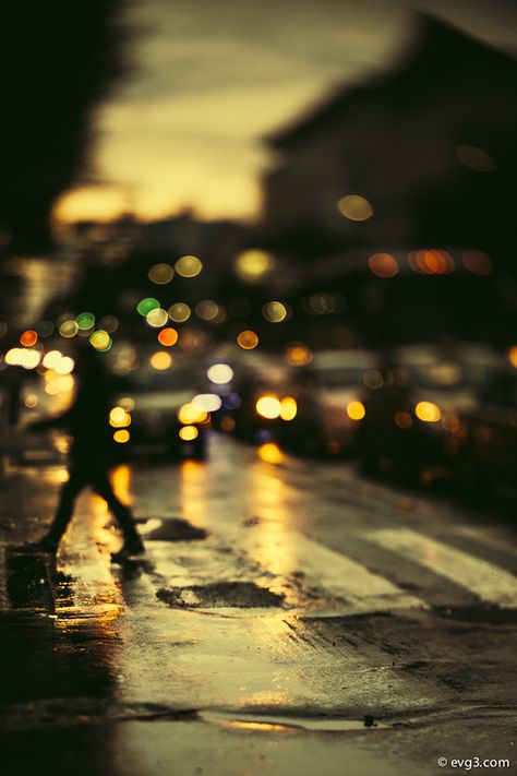 Rainy Streets, Cool Wallpapers For Your Phone, Rain World, Rainy Street, Ysl Makeup, Rain Photo, Rain Wallpapers, Breathtaking Photography, Street Portrait