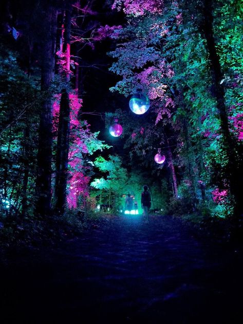 Haunted Woods Ideas Scary, Halloween Haunted Forest Ideas, Haunted Forest Aesthetic, Haunted Forest Ideas, Tulgey Woods, Party In The Forest, Haunted Farm, 2024 Activities, Best Haunted Houses