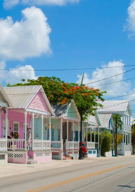 10 Steps to an Awesome Day in Key West in 2022 Key West Photography, Key West Vibes, Florida Key West, Key West Florida Aesthetic, Florida Keys Aesthetic, Key West Aesthetic, Key West Summer, Key West Activities, Florida Keys Vacation