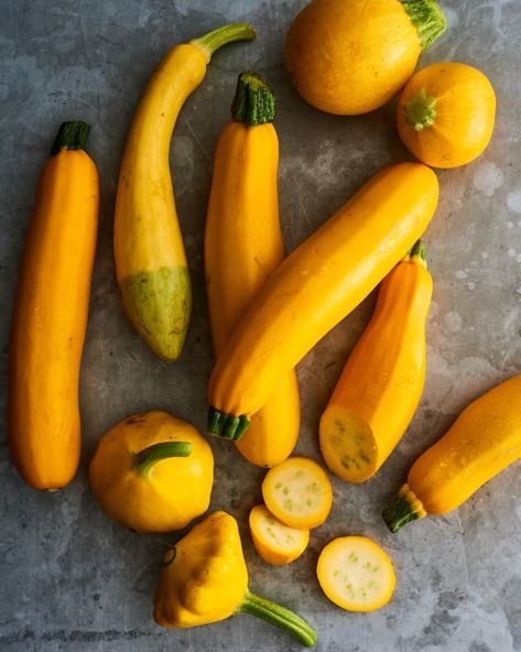 Our Best Summer Squash Recipes, Ideas, and Tips | The Kitchn Pattypan Squash, Freezing Zucchini, Easy Zucchini Bread, Summer Squash Recipes, Making Baked Potatoes, Squash Varieties, Squash Risotto, Quiche Recipes Easy, Food Tech