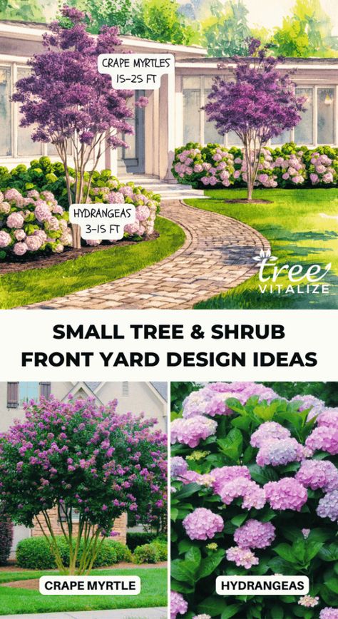 Easy Bushes For Front Of House, Front Yard Landscaping Design Curb Appeal, Tree Landscaping Ideas Front Yard, Front Yard Tree Ideas, Big Garden Design, Front Yard Tree Landscaping, Bushes In Front Of House, Front Yard Design Ideas, Yard Design Ideas