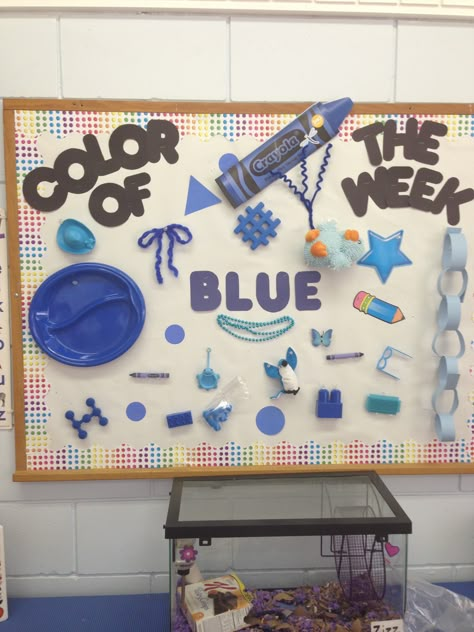 Preschool bulletin board week 2 Color Of The Month Preschool, Blue Day Celebration In Preschool, Preschool Teaching Ideas, Preschool Bulletin Board, January Preschool, Toddler Teacher, Color Of The Week, Preschool Rooms, Prek Classroom