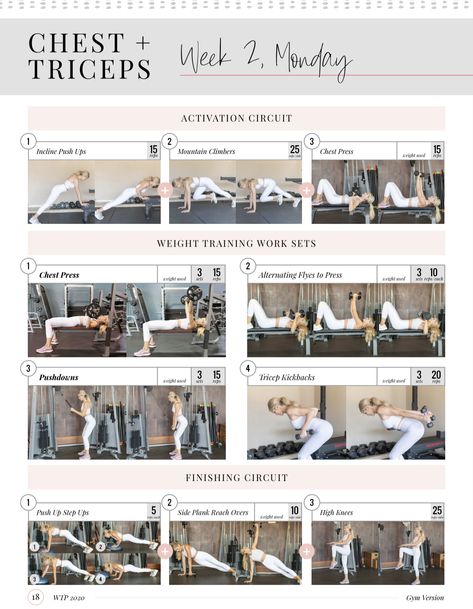 Lauren Gleisberg Workouts, Gym Split, Split Training, Split Routine, Circuit Exercises, Chest And Tricep Workout, Weight Training Plan, Emom Workout, Lauren Gleisberg