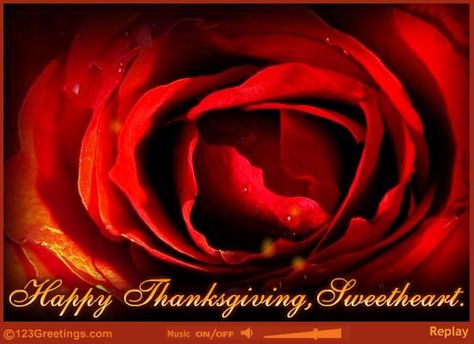 Happy Thanksgiving!! Happy Thanksgiving Sweetheart, Happy Memorial Day Quotes, Memorial Day Quotes, Happy Memorial Day, Happy Thanksgiving, Memorial Day, Free Online, Ecards, Thanksgiving