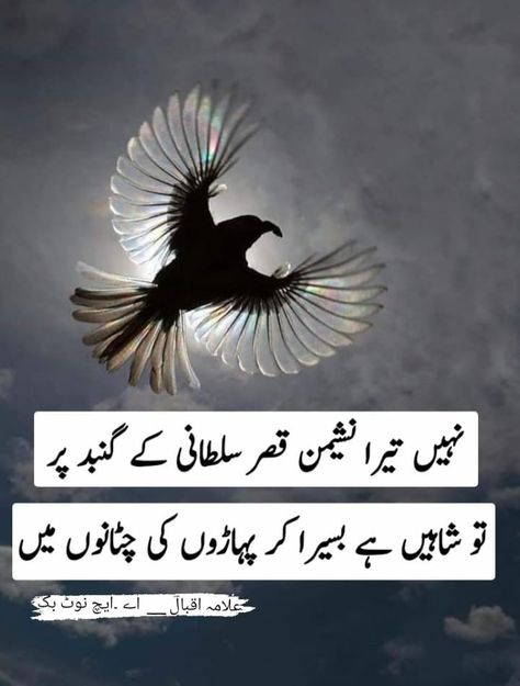 Iqbal Day Poetry In Urdu, Iqbal Day Poetry, Iqbal Day Quotes, Iqbal Day, Urdu Poetry, Fish Pet, Pakistan, Poetry, Movie Posters